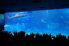 水族館_デート