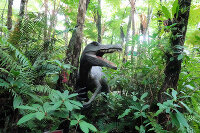 DINO恐竜PARK やんばる亜熱帯の森 2