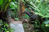 DINO恐竜PARK やんばる亜熱帯の森 3