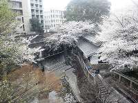 北区立音無親水公園