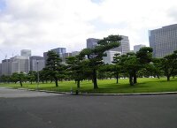 皇居外苑 3