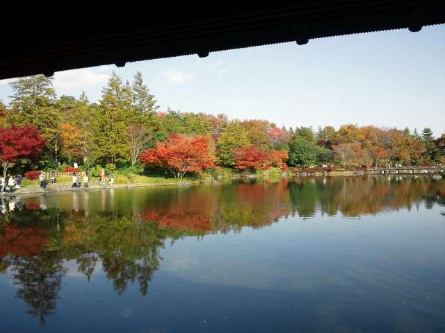 昭和記念公園 日本庭園