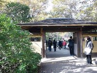昭和記念公園 日本庭園 2