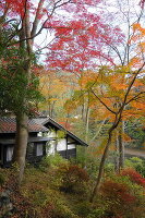 せせらぎの里美術館 3