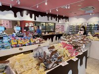 たぶん世界一小さいチョコレート工場 葉山直売店 2