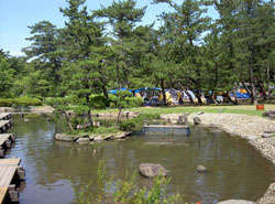 双葉海浜公園キャンプ場