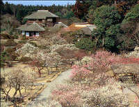 偕楽園 1