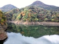 紅葉 もみじ谷大吊橋 