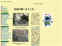 「野菊の墓」文学碑 URL