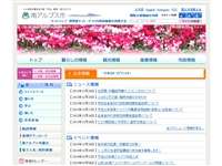 櫛形山のアヤメ