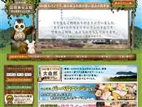 内山牧場大コスモス園