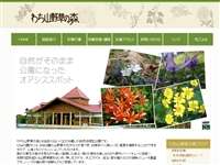 わち山野草の森