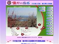 播州綾部山梅林