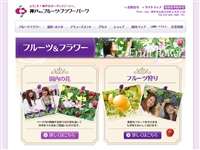 神戸市立フルーツフラワーパークのチューリップ