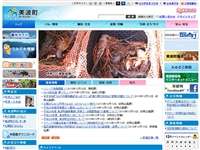 大浜海岸(美波町)
