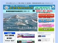 かづさイルカウオッチング