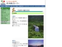 星砂の浜西表島