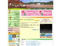 かみゆうべつチューリップ公園