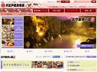 大江戸温泉 天下泰平の湯 すんぷ夢ひろば