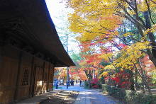 平林寺(金鳳山 平林禅寺)  11