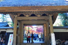 平林寺(金鳳山 平林禅寺)  2