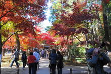 平林寺(金鳳山 平林禅寺)  7