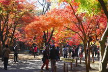 平林寺(金鳳山 平林禅寺)  8