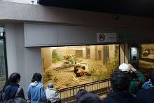 上野動物園  1