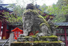 箱根神社  21