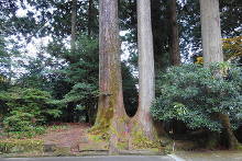 箱根神社  24