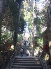 箱根神社  3