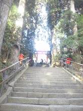 箱根神社  4