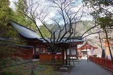 金櫻神社  1