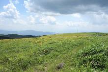 霧ヶ峰高原  4