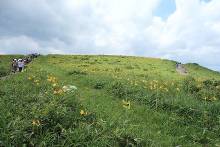 霧ヶ峰高原  8