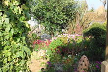 親水公園・ムーンテラス  12