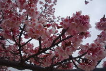 親水公園・ムーンテラス  13