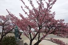 親水公園・ムーンテラス  19