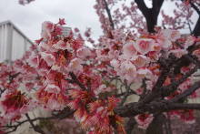親水公園・ムーンテラス  21