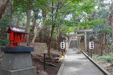 白浜神社(伊古奈比咩命神社)  8