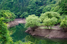 みどり湖(愛知県)  1