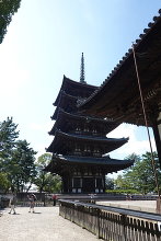 興福寺 五重塔  2