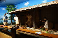 島根県立古代出雲歴史博物館  7