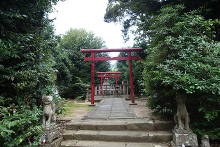 城山稲荷神社(松山)  1