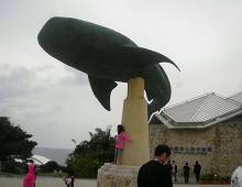 沖縄美ら海水族館  7