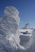 蔵王坊平高原 冬の蔵王坊平の樹氷見物はスノーハイクで！