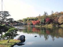 昭和記念公園 日本庭園  1