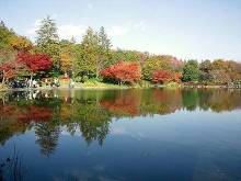 昭和記念公園 日本庭園  2
