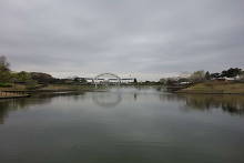 国営ひたち海浜公園  10