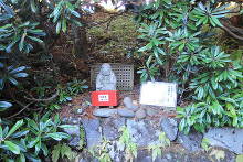 二荒山神社中宮祠  21